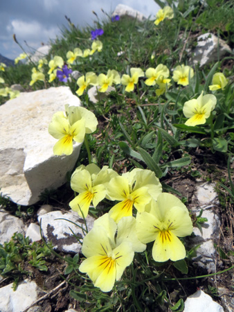 f0234936_22243692.jpg