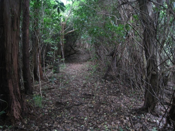 c0077338_7203089.jpg
