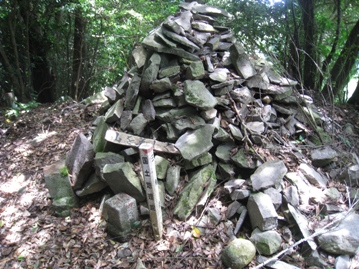 c0077338_7223138.jpg