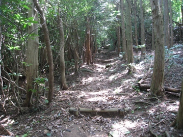 c0077338_722438.jpg