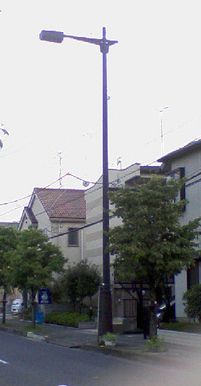 f0153547_1128889.jpg