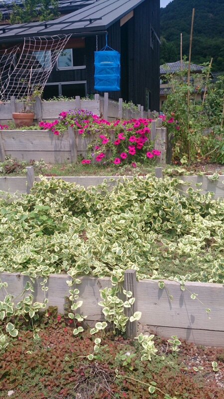 f0341250_13323079.jpg