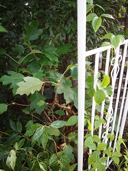 b0246758_20324628.jpg