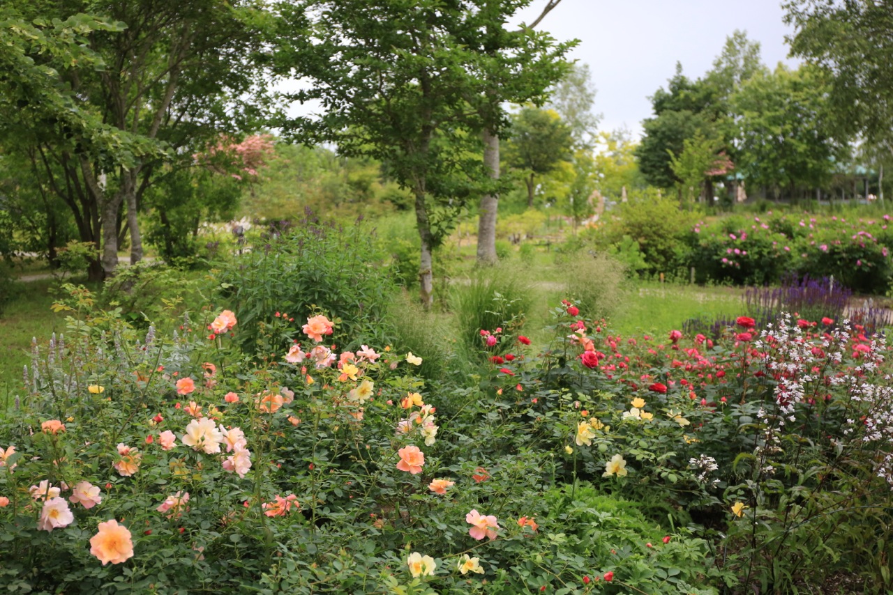 b0168859_1313621.jpg