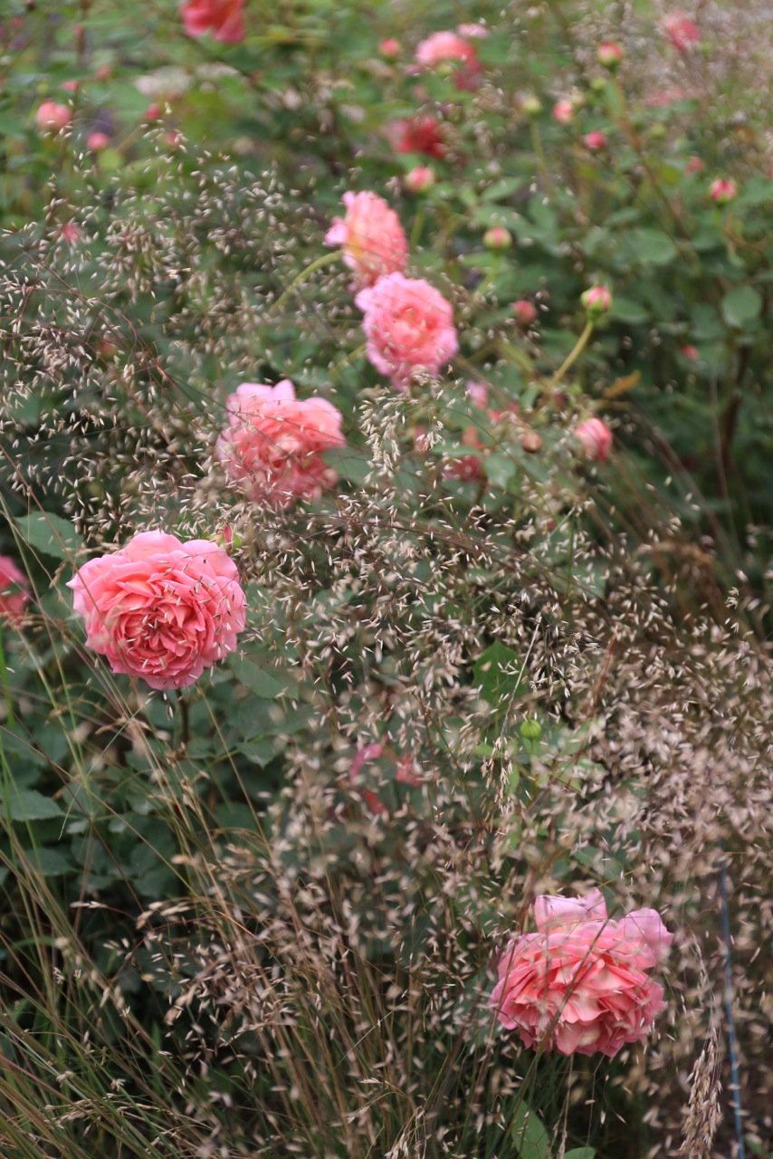 b0168859_136574.jpg