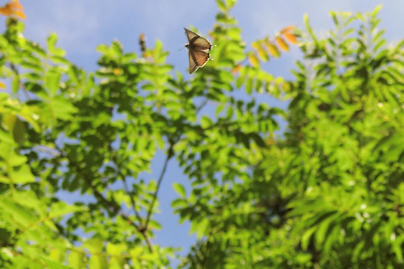 c0043361_22351100.jpg