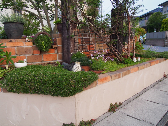 b0194267_21225618.jpg