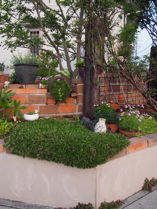 b0194267_21235162.jpg