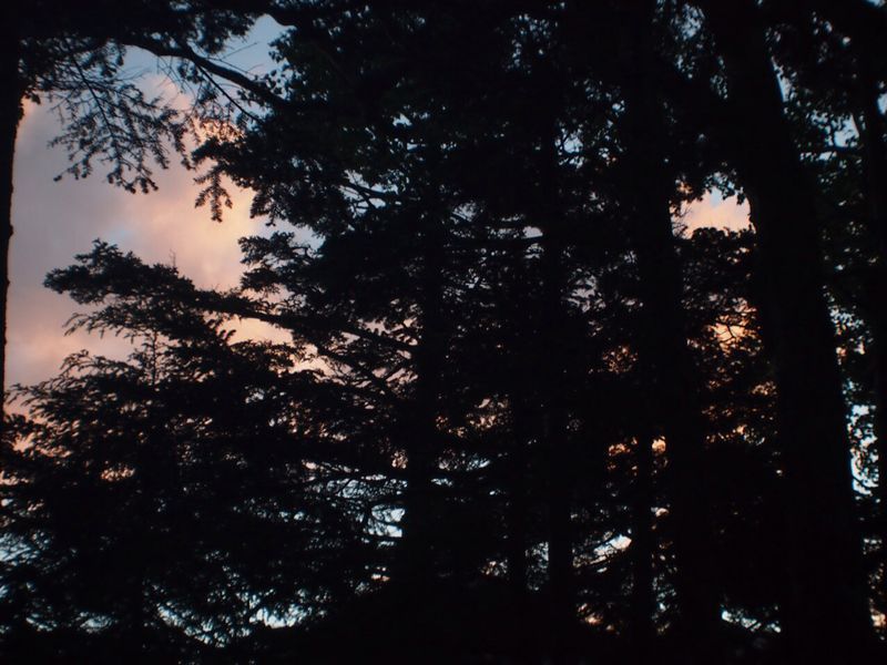 c0321967_20205171.jpg