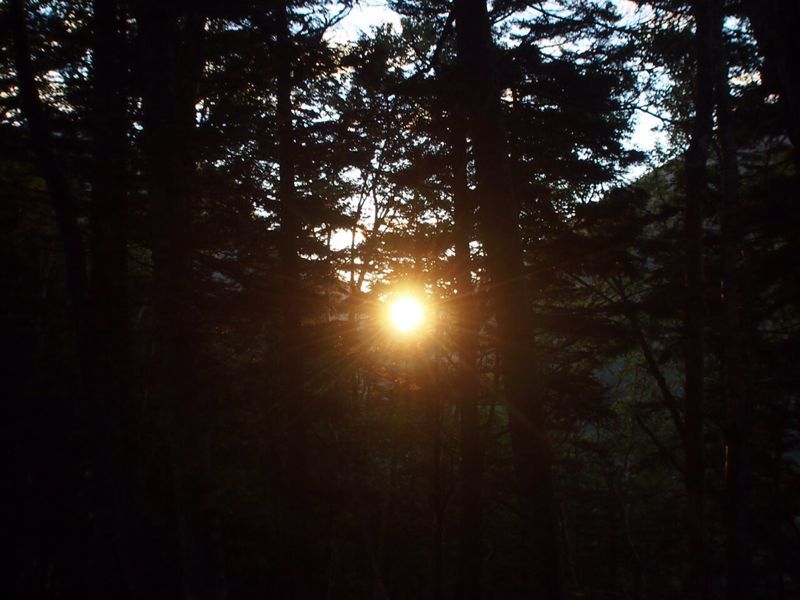 c0321967_20205450.jpg