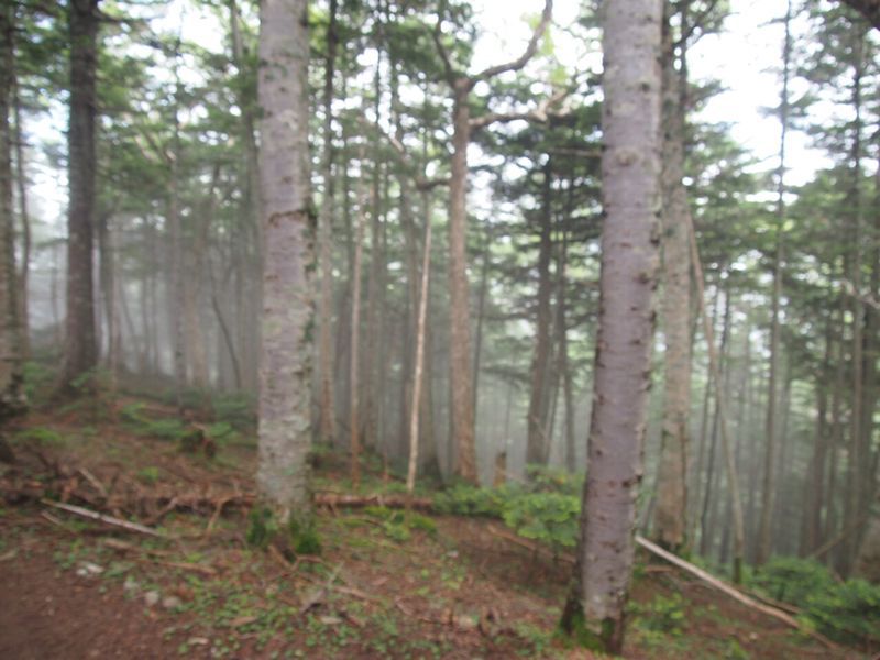c0321967_20212454.jpg