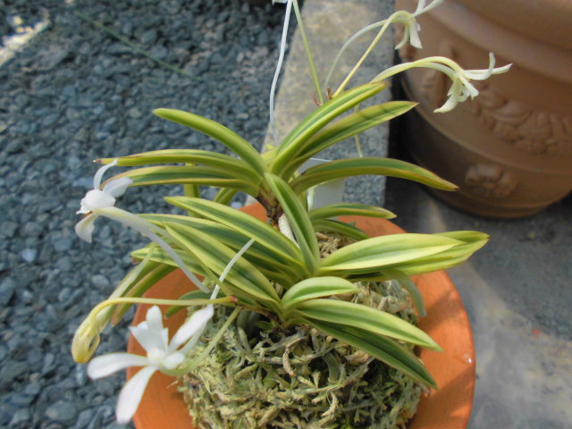 f0318967_20065267.jpg