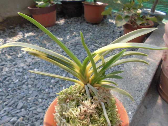 f0318967_20080217.jpg