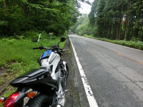 e0045768_21505962.jpg