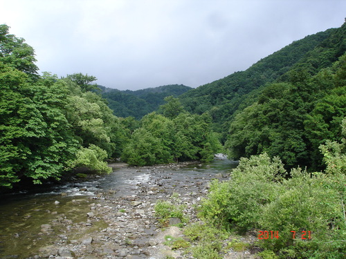 d0165378_9252912.jpg