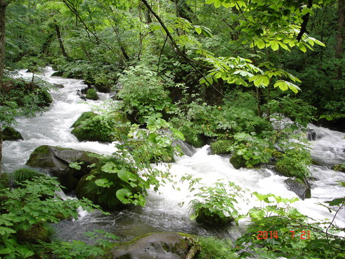 d0165378_9271549.jpg