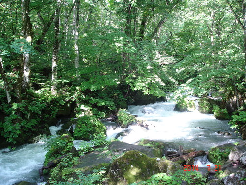 d0165378_928561.jpg
