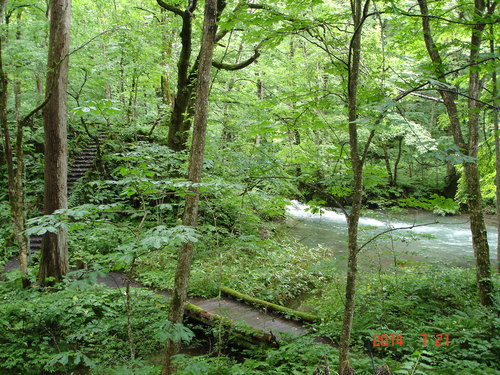 d0165378_930429.jpg
