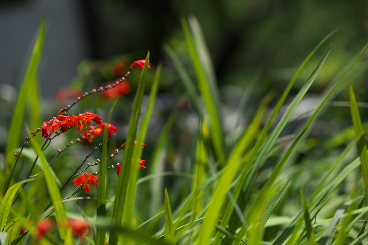 a0083081_7173166.jpg