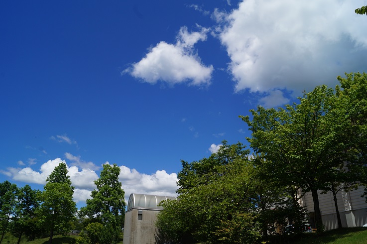 d0129083_14395852.jpg