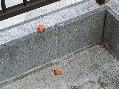e0123587_19311158.jpg