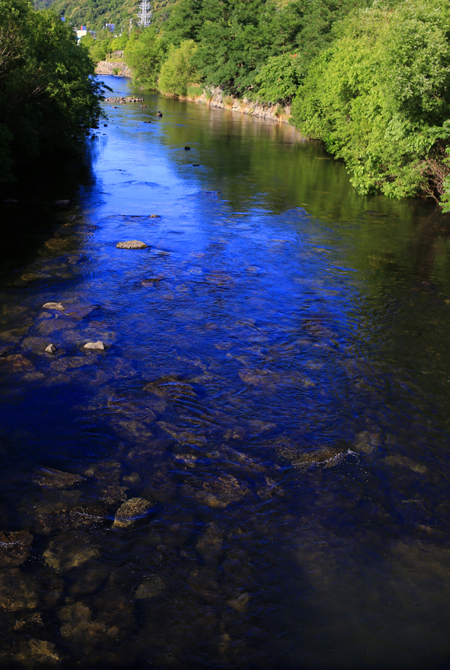 f0001895_1431172.jpg
