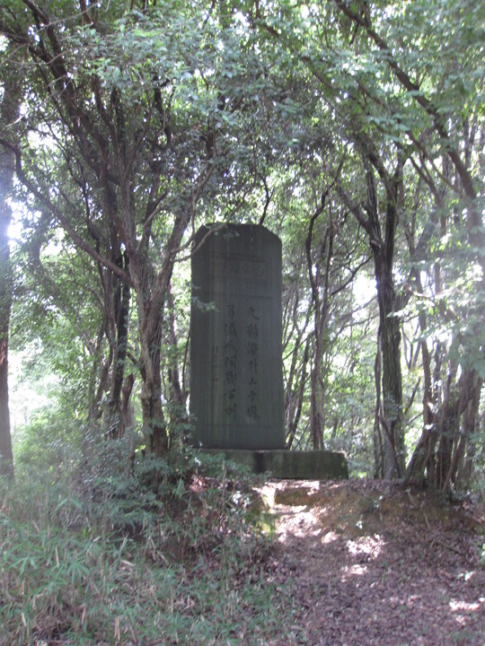 f0010195_1650384.jpg