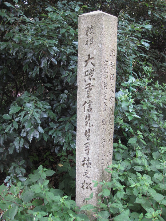 f0010195_18295961.jpg
