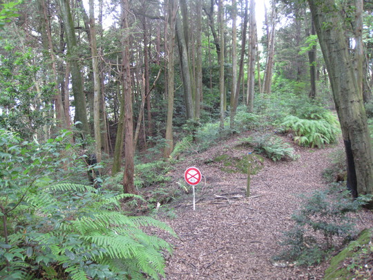 f0010195_1904310.jpg