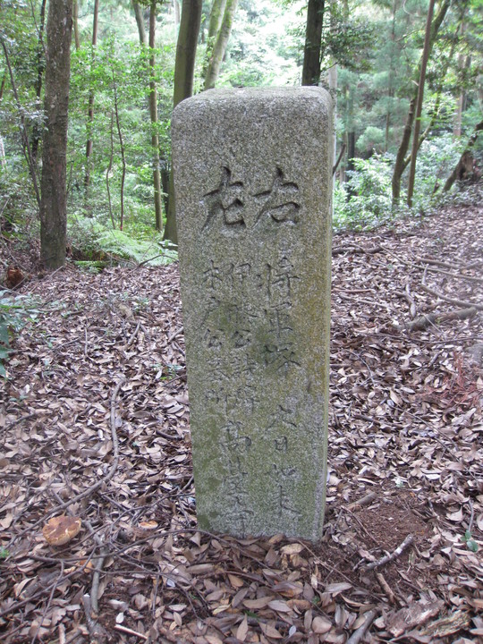 f0010195_19241100.jpg