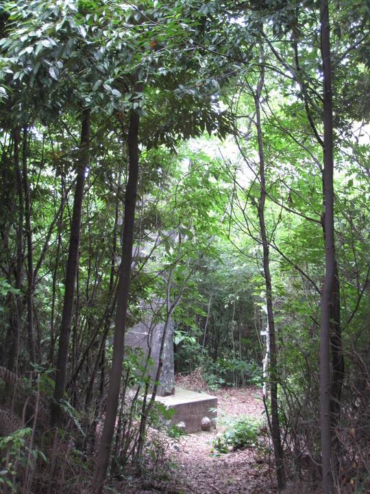 f0010195_21192936.jpg