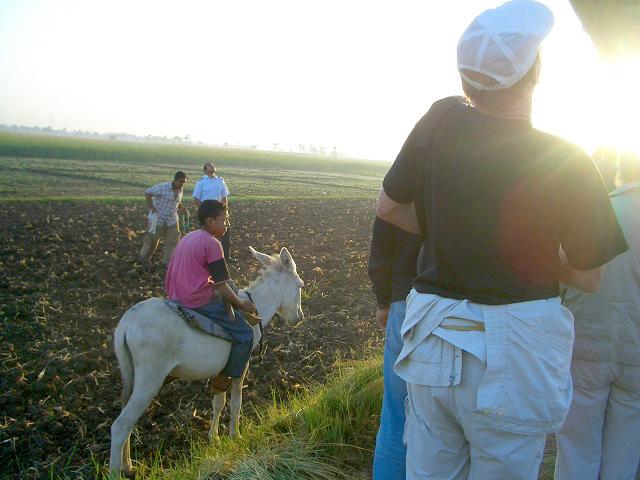 f0346196_09353962.jpg
