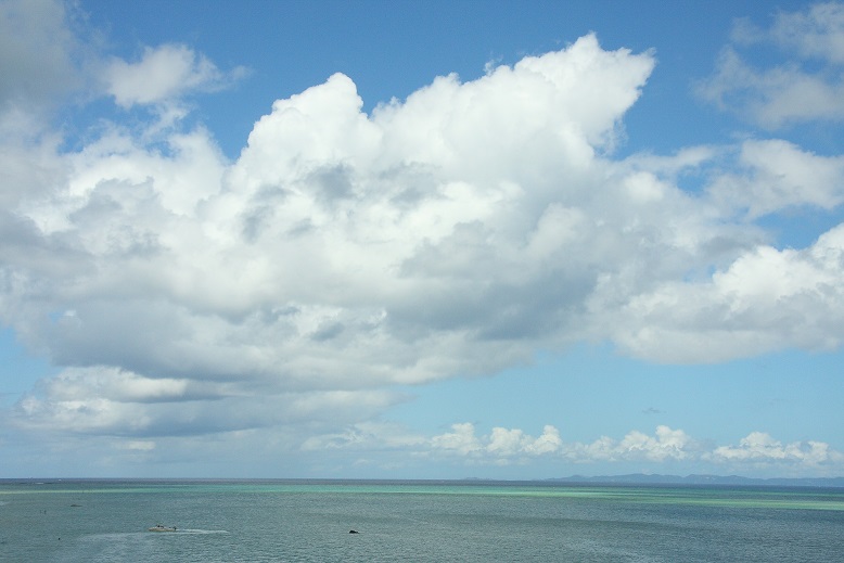 d0136804_1721131.jpg