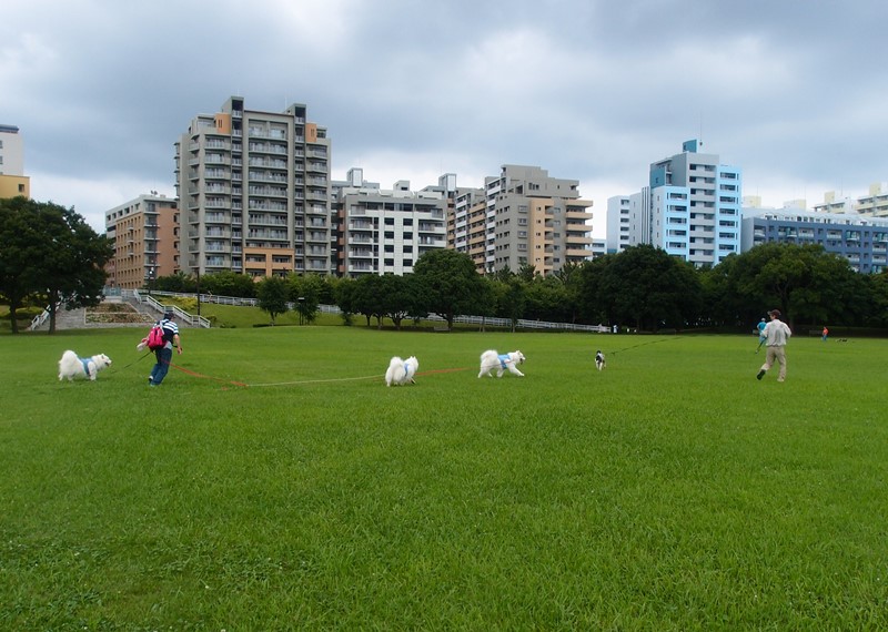 e0018604_10230165.jpg
