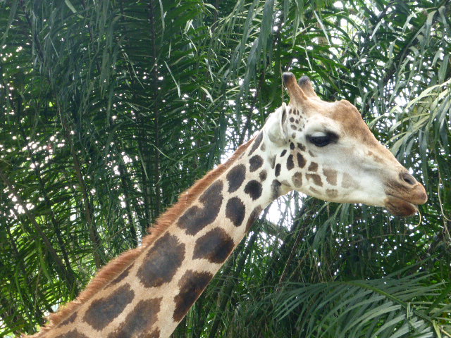b0182708_14252941.jpg