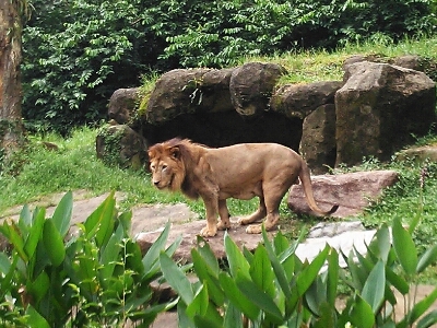 b0182708_144172.jpg