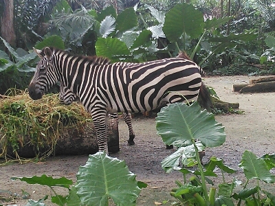 b0182708_1453987.jpg