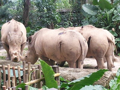 b0182708_1455714.jpg