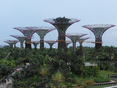 b0182708_1463626.jpg