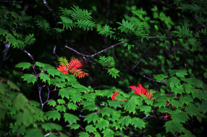 a0263109_13381074.jpg