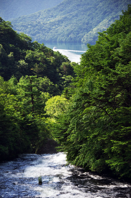 a0263109_1340450.jpg