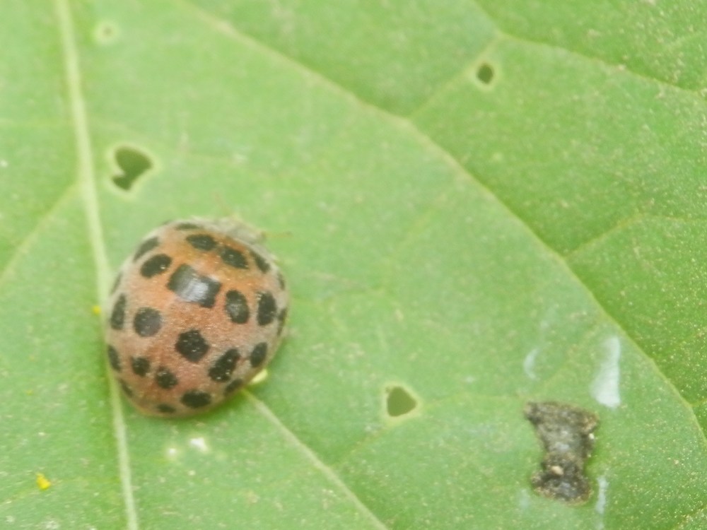 c0062511_2284266.jpg