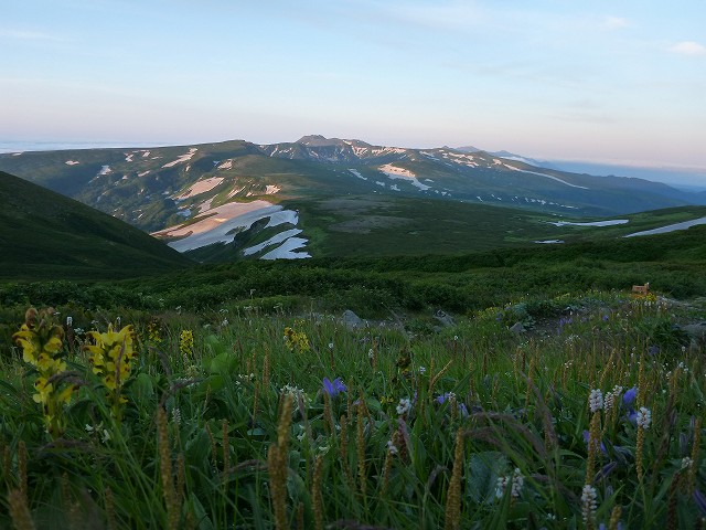 c0048117_945178.jpg