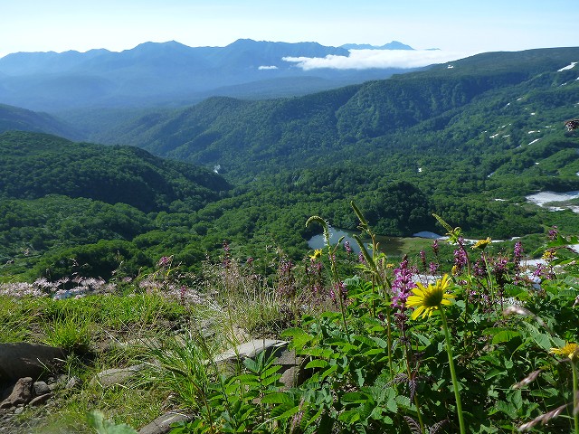 c0048117_9452236.jpg