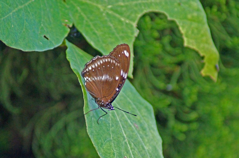 c0042418_8151890.jpg