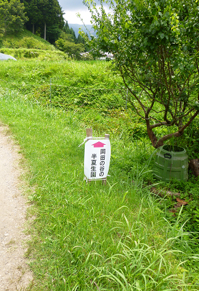 f0228619_8153582.png