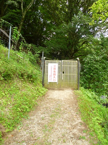 f0228619_8253846.jpg