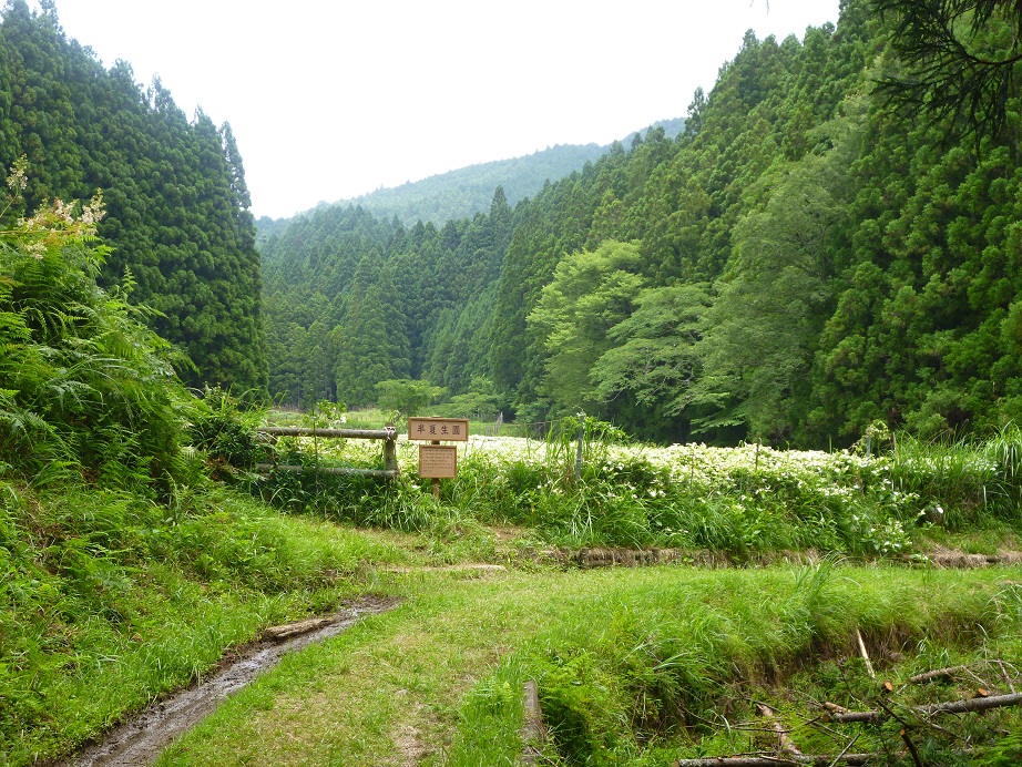 f0228619_8555589.jpg