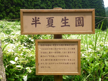f0228619_8562361.jpg