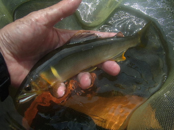 f0103126_2159078.jpg